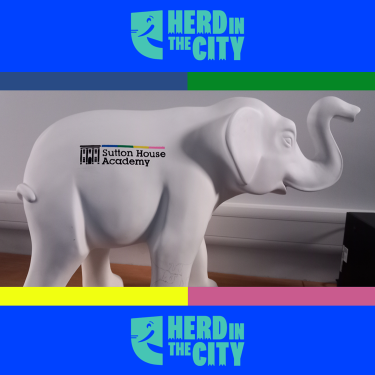 Image of We are Participating in 'Herd in the City'!!